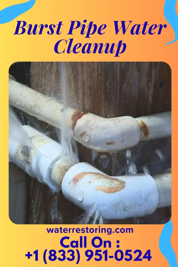 Burst Pipe Water Cleanup in Earl, NC