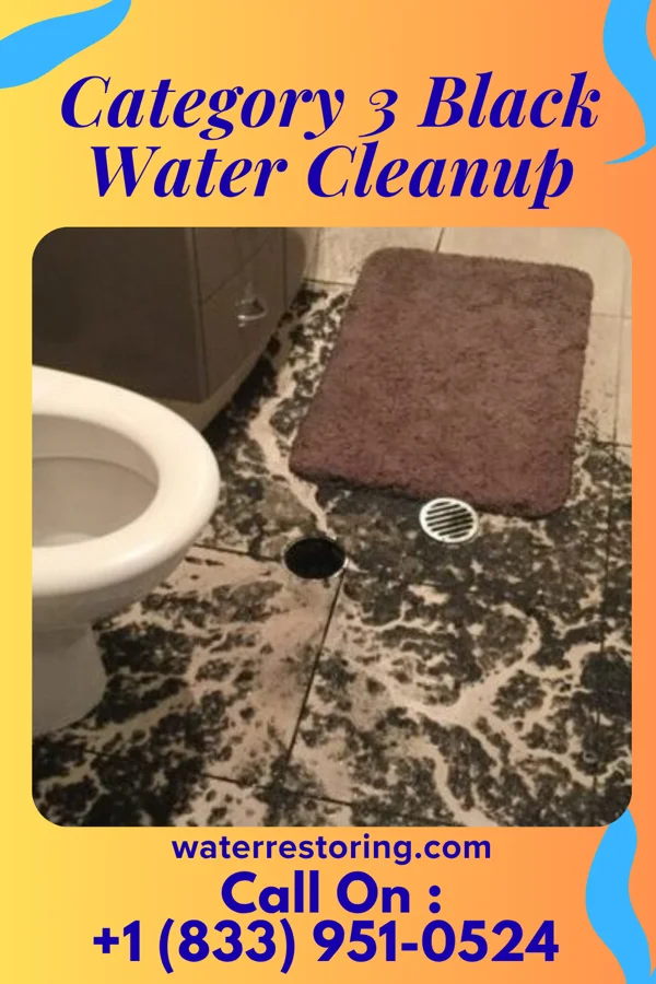 Category 3 Black Water Cleanup in Earl, NC