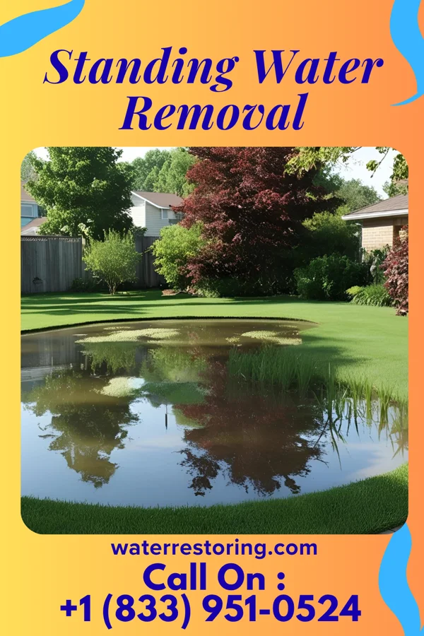 Standing Water Removal in Earl, NC